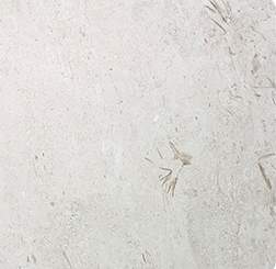 Limestone wall tiles Miami Dade County